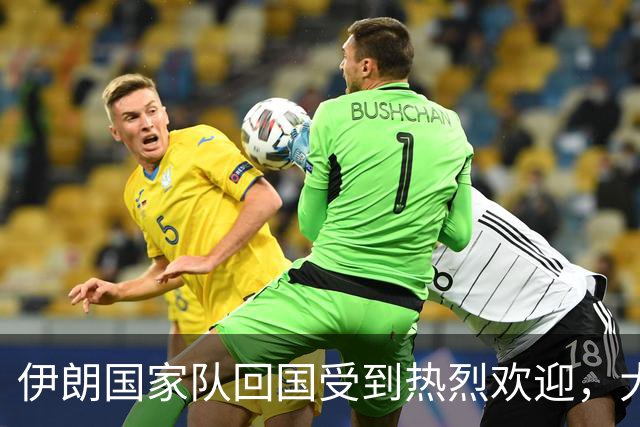 伊朗国家队回国受到热烈欢迎，大批球迷接机